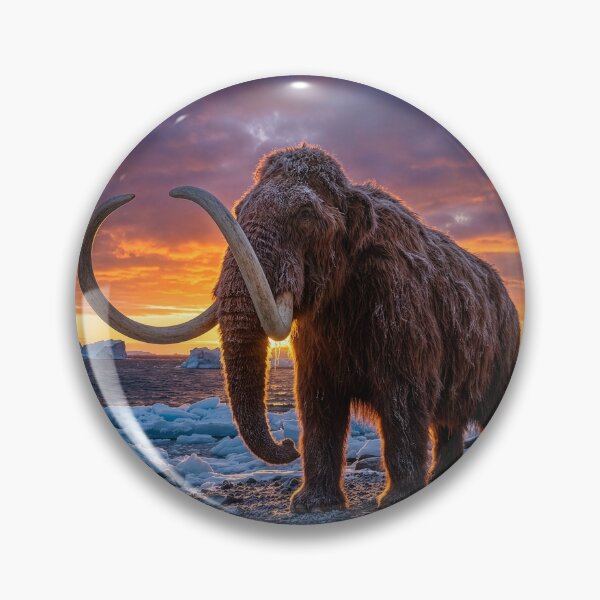 Item preview, Wooly Mammoth on Arctic Shore designed and sold by Tridentulus.