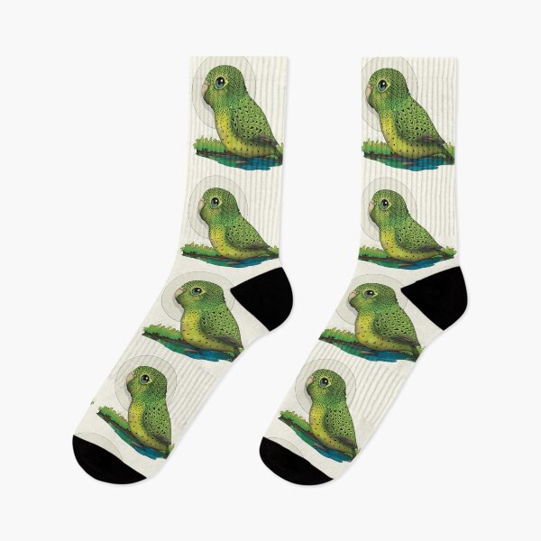 Item preview, Night Parrot designed and sold by Karin Taylor.