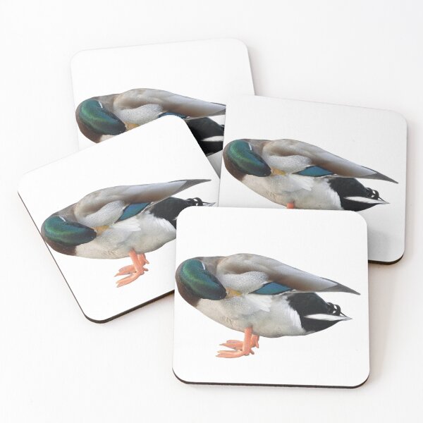Item preview, Drake Mallard Cleaning and Grooming designed and sold by naturetimes.