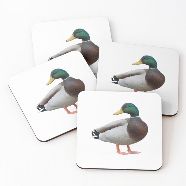 Item preview, Mallard Drake Fresh from the Water designed and sold by naturetimes.