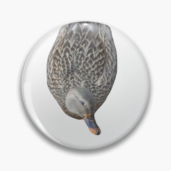Item preview, Inquisitive Duck designed and sold by naturetimes.