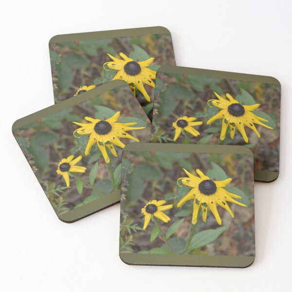 Item preview, Wild Black-eyed Susans in Sharp County Arkansas designed and sold by Blossom-Breeze.