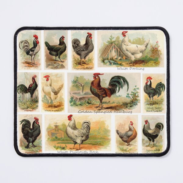 Item preview, A Dozen Chickens designed and sold by TheCulturedConures.