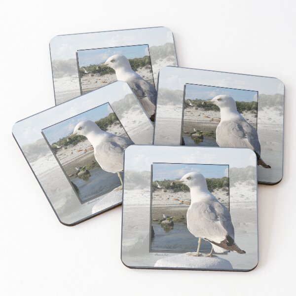 Item preview, Gull on the Outside ~ Looking Back designed and sold by SummerJade.