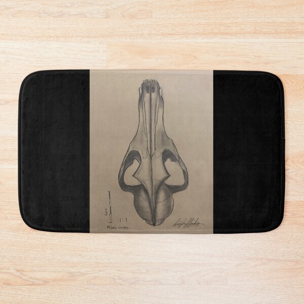 Item preview, Vulpes Vulpes Red Fox Skull Anatomy Sketch designed and sold by xuxqhpbmr34.