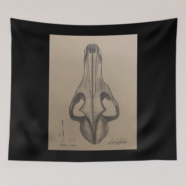 Item preview, Vulpes Vulpes Red Fox Skull Anatomy Sketch designed and sold by xuxqhpbmr34.