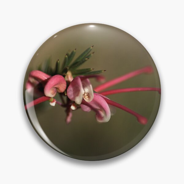 Item preview, Grevillea designed and sold by Joy Watson - Natural Light Photography .
