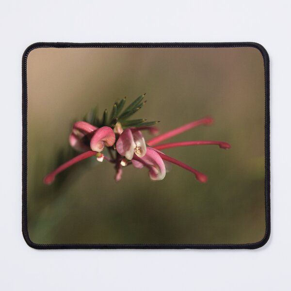 Item preview, Grevillea designed and sold by Joy Watson - Natural Light Photography .