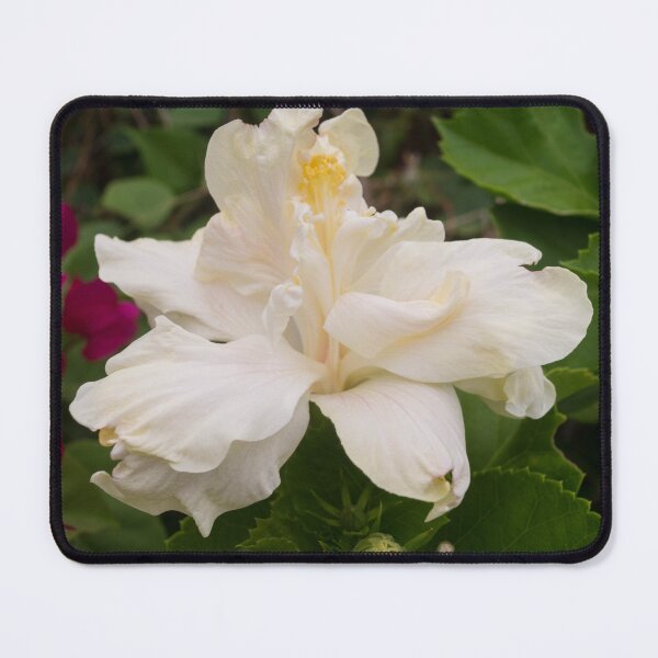 Item preview, Double White Hibiscus designed and sold by ROSE ANN BANILAR.