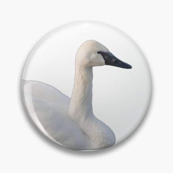 Item preview, Floating Swan designed and sold by naturetimes.