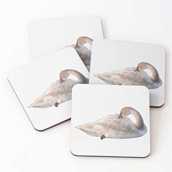 Item preview, Juvenile Swan Grooming designed and sold by naturetimes.