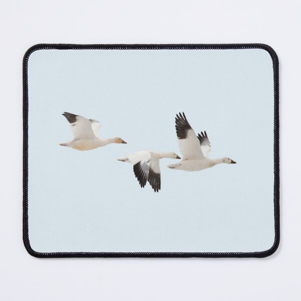 Item preview, Snow Geese Trio designed and sold by Whisperingpeaks.