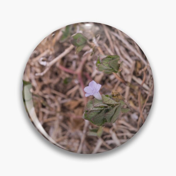Item preview, Malaysian false pimpernel designed and sold by ROSE ANN BANILAR.