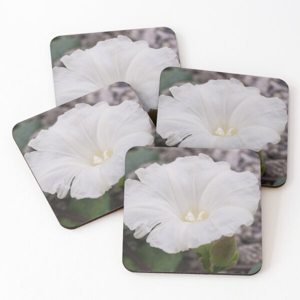 Item preview, moonflower designed and sold by ROSE ANN BANILAR.