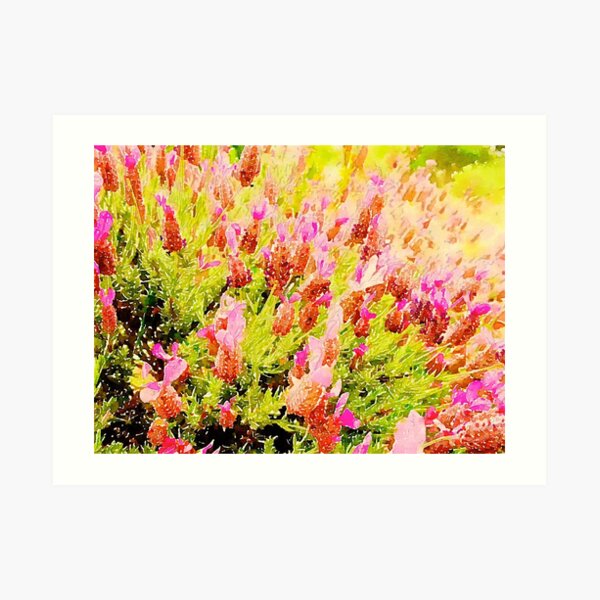 Art Print