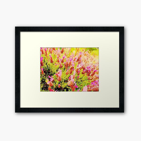 Framed Print