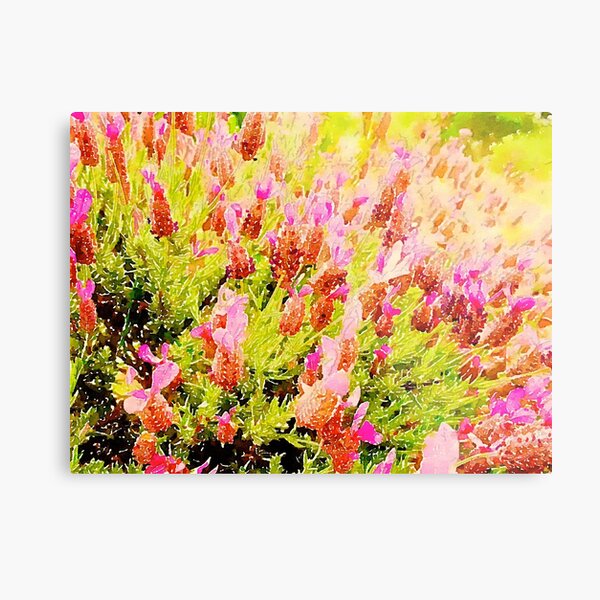 Metal Print