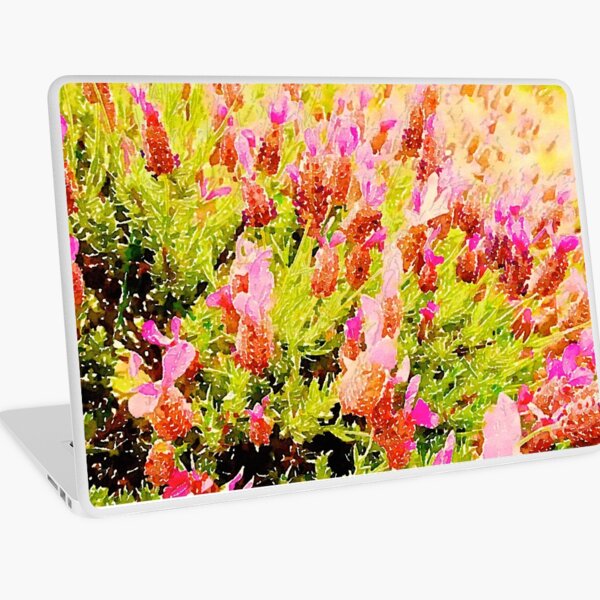 Macbook Air 13" (2015)