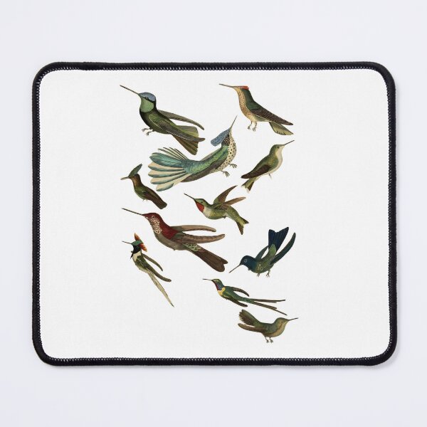 Item preview, Vintage Hummingbirds - 1835 Hummingbird Scientific Illustration designed and sold by The Archive Alchemist.