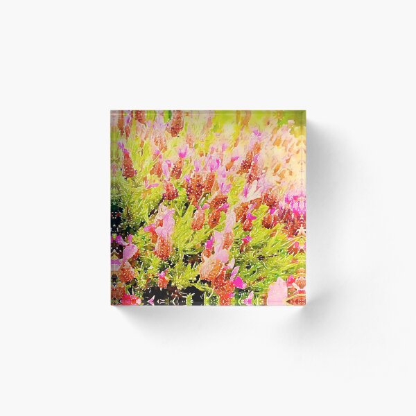 Acrylic Block