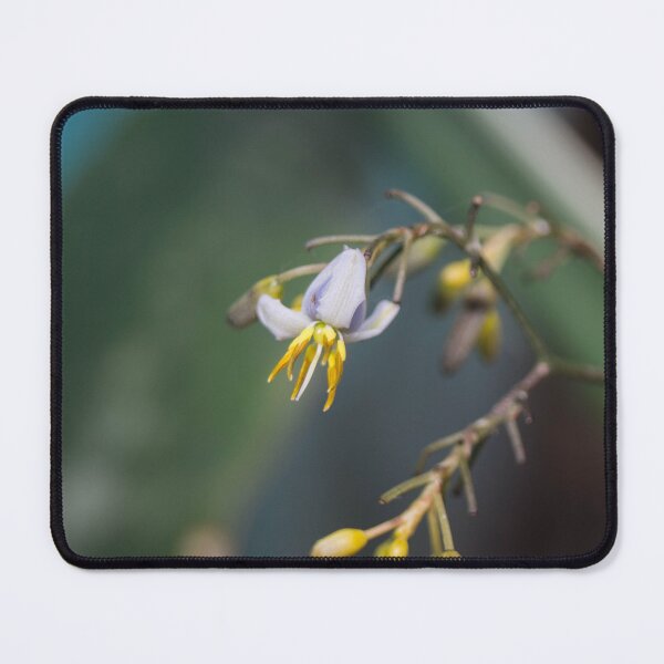 Item preview, Tasmanian Flax-Lily designed and sold by ROSE ANN BANILAR.