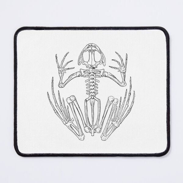 Item preview, Frog Skeleton Vintage Amphibian Anatomy designed and sold by guibempdaho41.