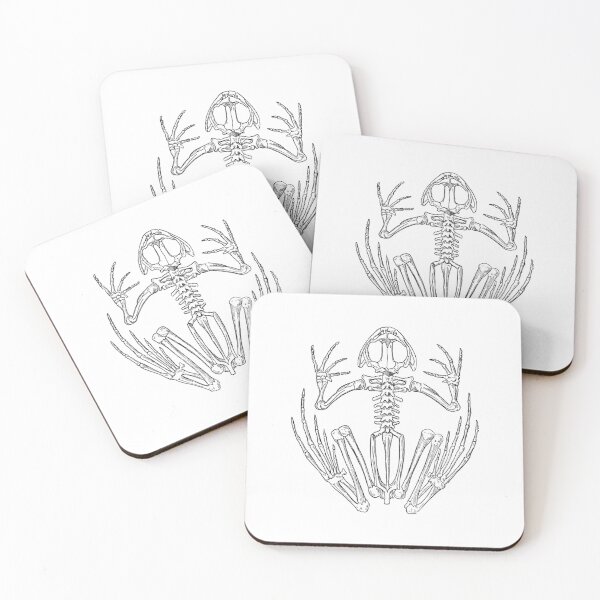 Item preview, Frog Skeleton Vintage Amphibian Anatomy designed and sold by guibempdaho41.
