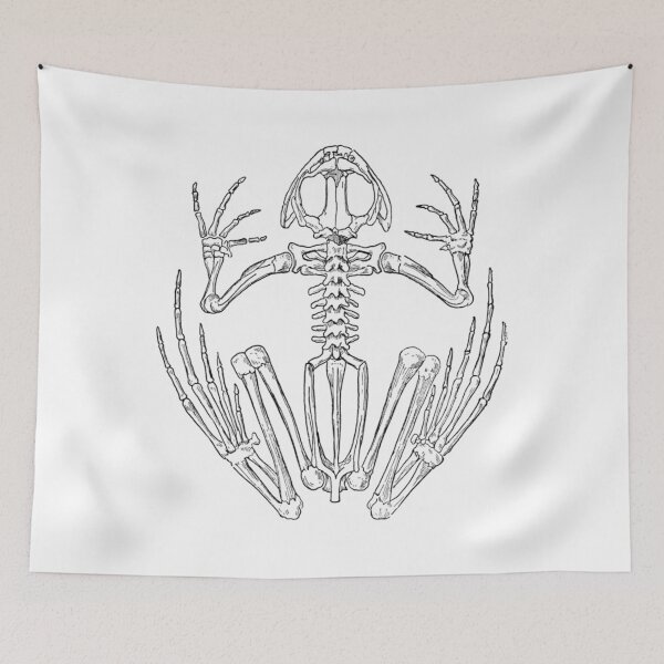 Item preview, Frog Skeleton Vintage Amphibian Anatomy designed and sold by guibempdaho41.