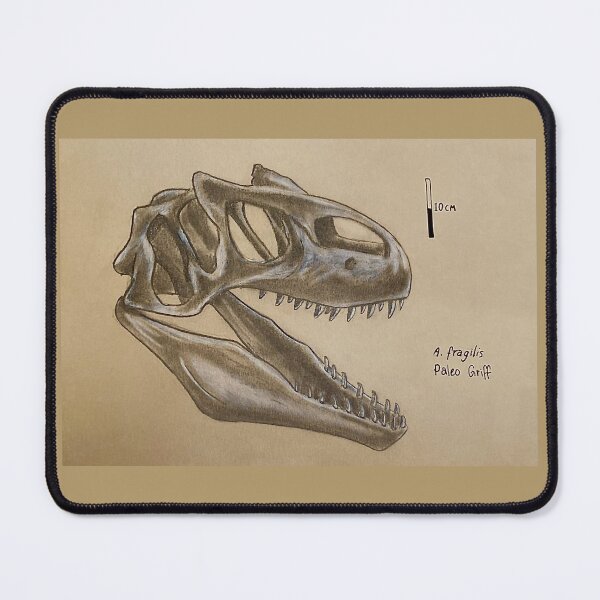 Item preview, A. fragilis - Allosaurus Scientific Illustration  designed and sold by Paleo Griff.