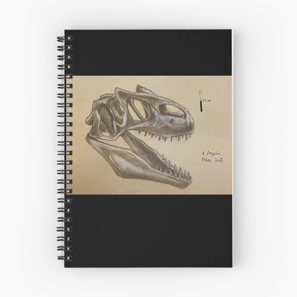 Item preview, A. fragilis - Allosaurus Scientific Illustration  designed and sold by Paleo Griff.
