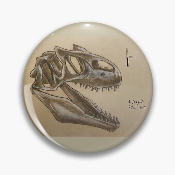 Item preview, A. fragilis - Allosaurus Scientific Illustration  designed and sold by Paleo Griff.