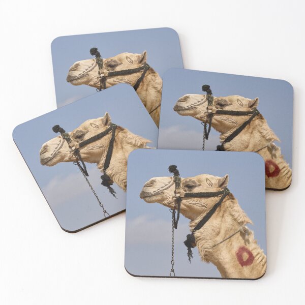 Item preview, Camel portrait. Cairo 2026 designed and sold by Jouko Lehto Photography.