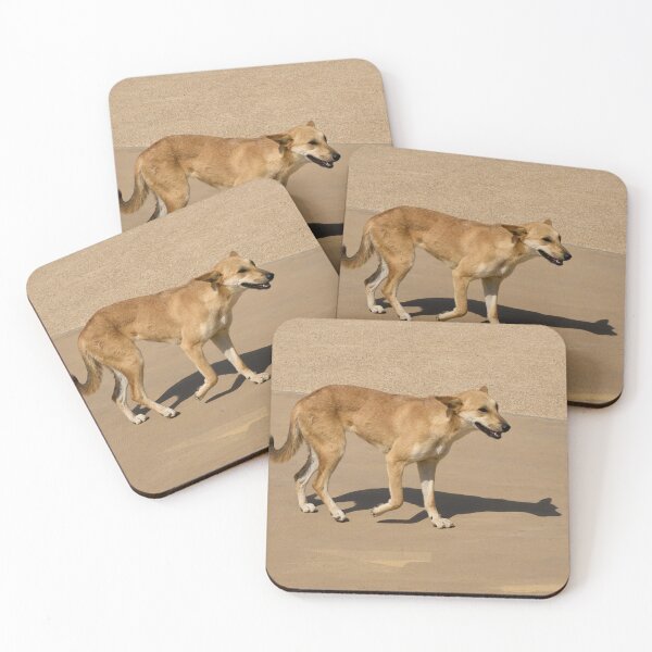 Item preview, The Dog. Cairo 2026 designed and sold by Jouko Lehto Photography.