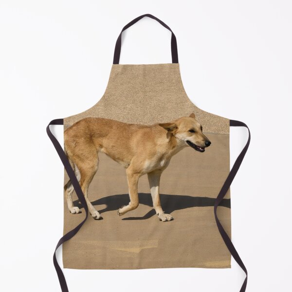 Item preview, The Dog. Cairo 2026 designed and sold by Jouko Lehto Photography.