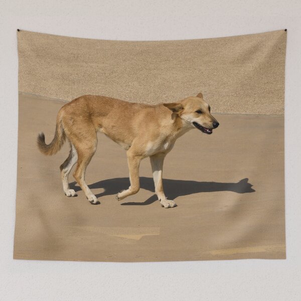 Item preview, The Dog. Cairo 2026 designed and sold by Jouko Lehto Photography.