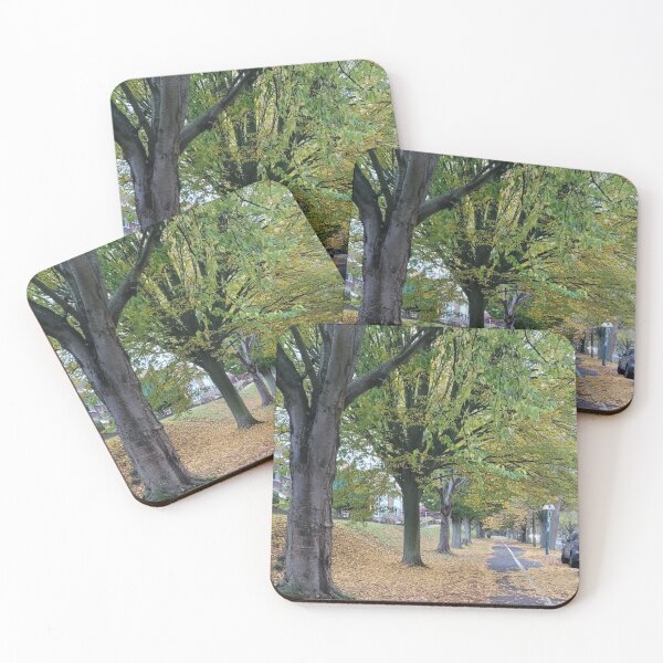 Item preview, Peaceful Autumn Tree Avenue designed and sold by Clauando.