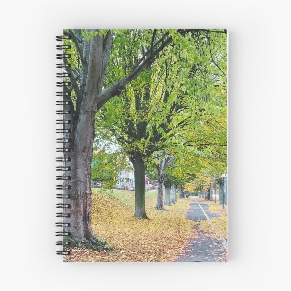 Item preview, Fall Leaves Along a Quiet Path designed and sold by Clauando.