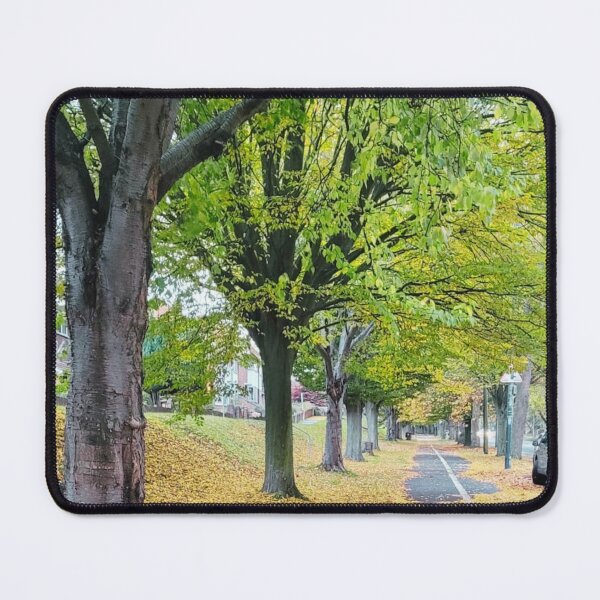 Item preview, Fall Leaves Along a Quiet Path designed and sold by Clauando.