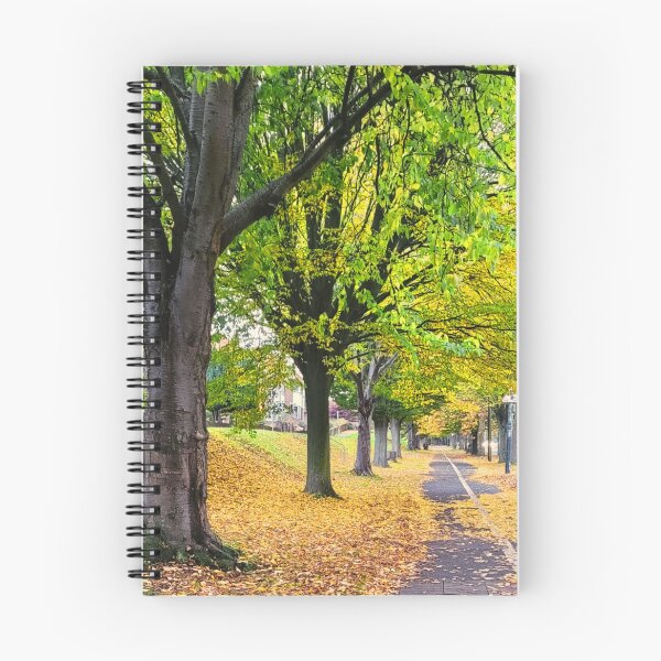 Item preview, Golden Leaves on a City Path designed and sold by Clauando.