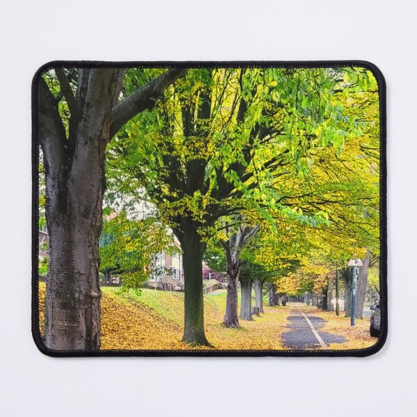 Item preview, Golden Leaves on a City Path designed and sold by Clauando.