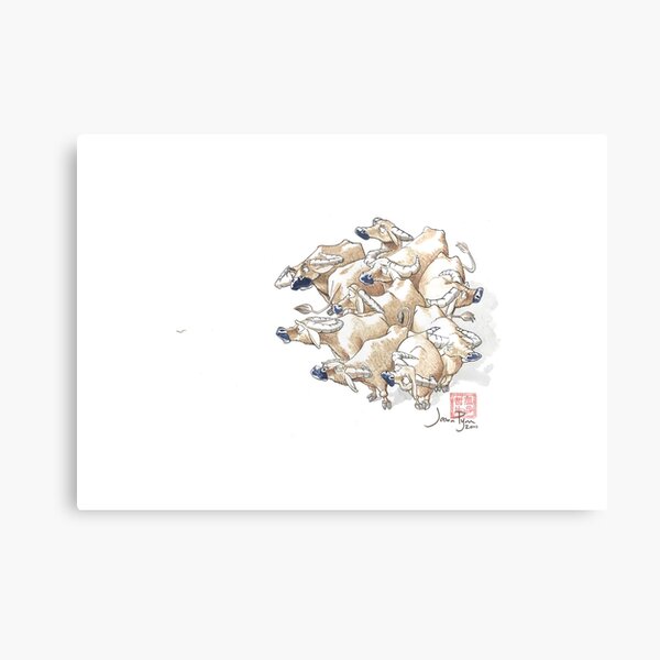 Chinese proverb: One hair from nine ox Canvas Print