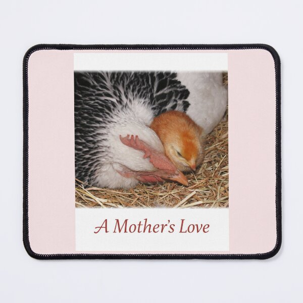 Item preview, A quiet moment from the heart of our Wellington backyard.  designed and sold by Studio Origins NZ (SO NZ).