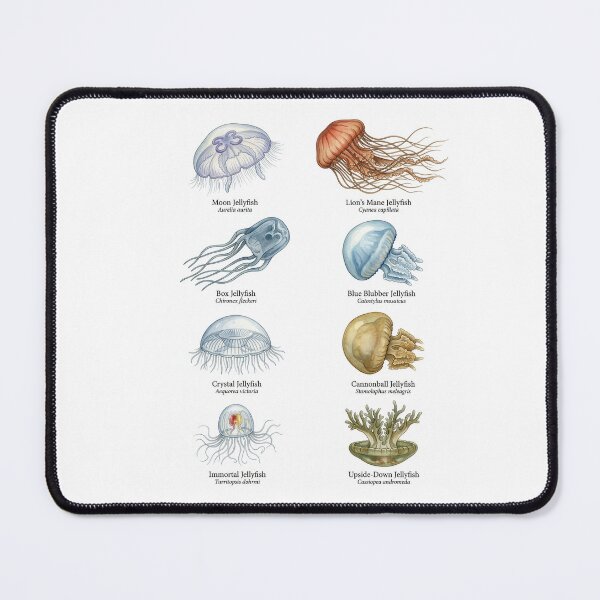 Item preview, Jellyfish Species designed and sold by ArunDandiboina.