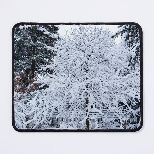 Item preview, Lonely Snow-Covered Tree in Vienna | Winter Nature Photography Print designed and sold by Martindoran.