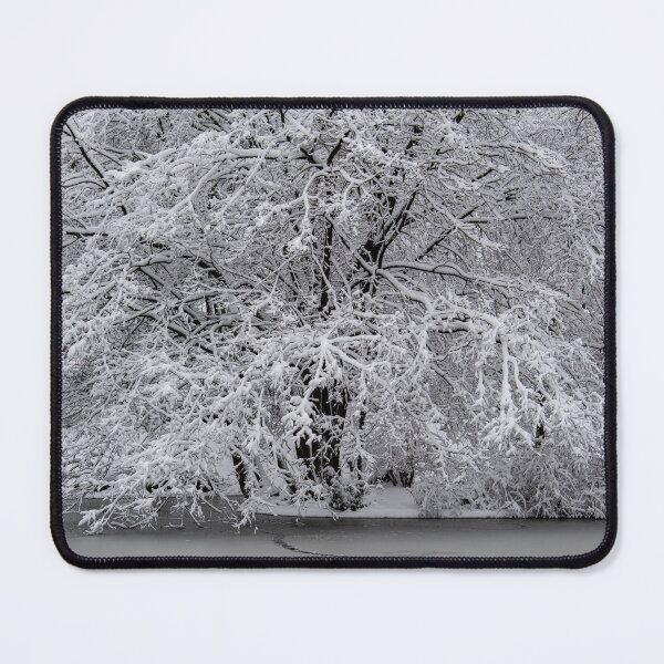 Item preview, Snow-Covered Trees by a Frozen Lake in Vienna | Winter Landscape Photography designed and sold by Martindoran.