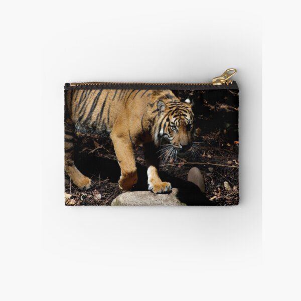 Item preview, Tiger Stalking - Close Up designed and sold by GP1746.
