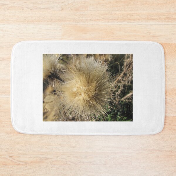 Item preview, Dried Thistle Seed Head Close-Up In Natural Field Light Showing Fluffy Golden Bristles designed and sold by Nmallia.