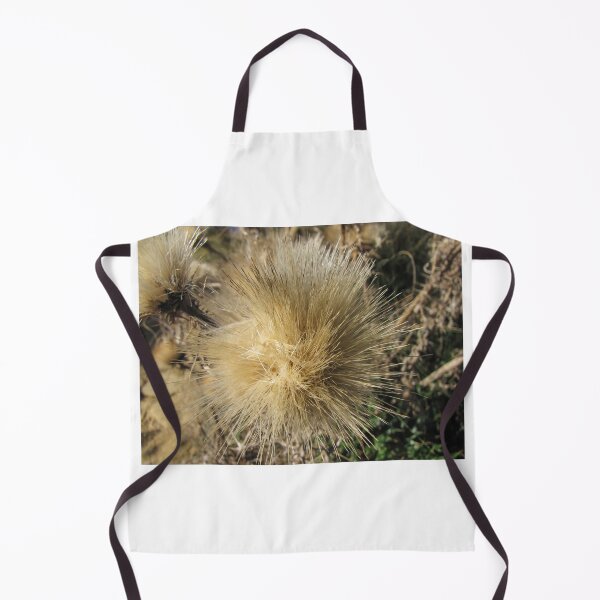 Item preview, Dried Thistle Seed Head Close-Up In Natural Field Light Showing Fluffy Golden Bristles designed and sold by Nmallia.