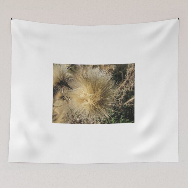 Item preview, Dried Thistle Seed Head Close-Up In Natural Field Light Showing Fluffy Golden Bristles designed and sold by Nmallia.