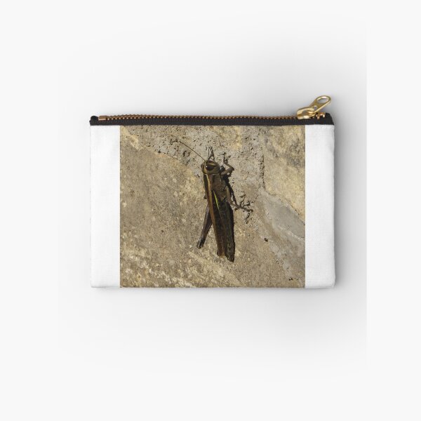 Item preview, Close-Up Of A Grasshopper Resting On A Sunlit Stone Wall With Natural Camouflage designed and sold by Nmallia.